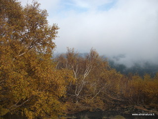 rra delle Concazze-01-01-2009 04-11-59